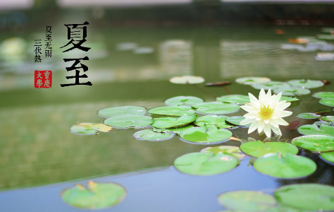 夏至養生正當時